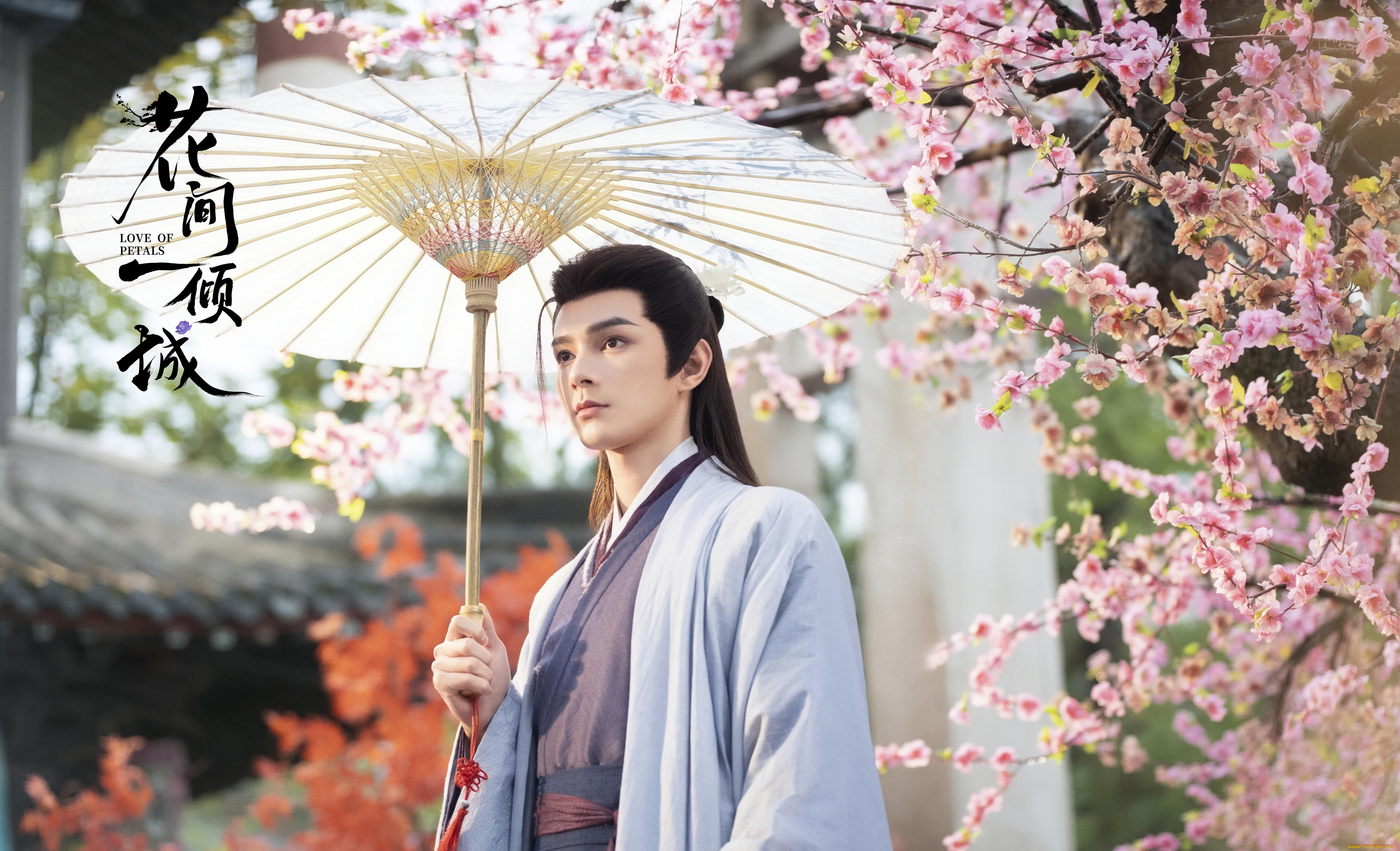  , love of petals, love, of, petals